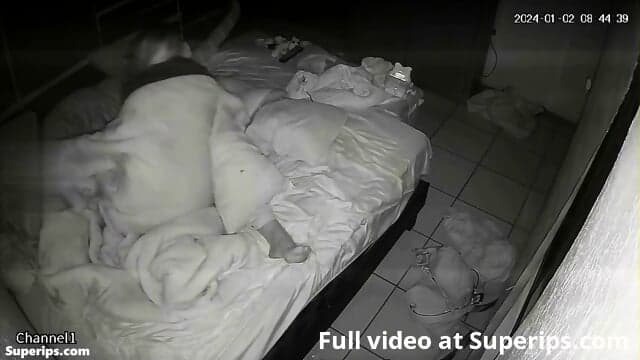 IPCAM â Bad Latin parents fuck in their bed