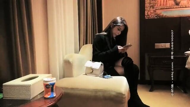 Beautiful Chinese escort 65