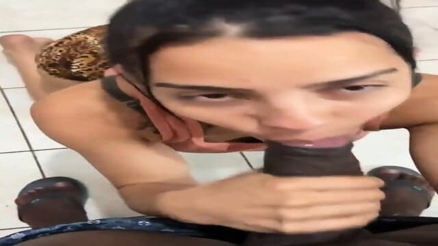 Blowjob Bbc
