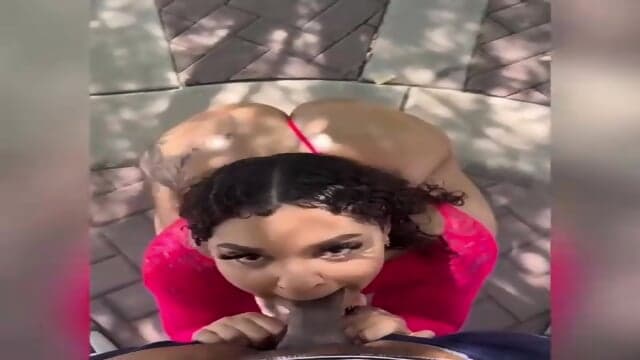 POV EBONY HEAD COMP