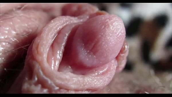 orgasm clit