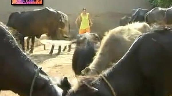 NADIA ALI HOT MUJRA GUJJRA WAY.flv