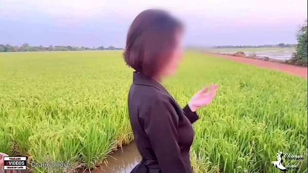 Young couples having sex in the middle of a rice field.