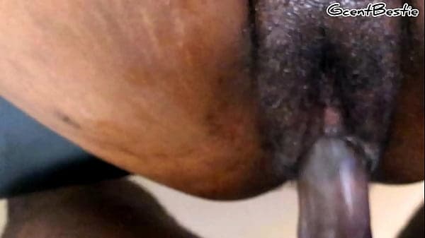 NO, NO! dont CUM inside me...huge COCK for PETITE CREAMY African Pussy - close up Sex