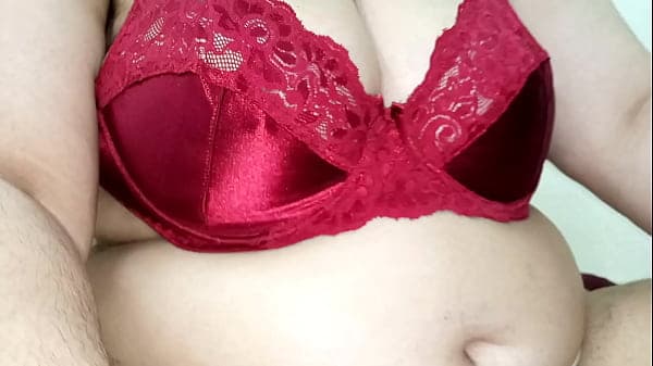 Anal sex with Indian fat sister-in-law (Netu Bhabhi) while talking dirty in clear Hindi audio