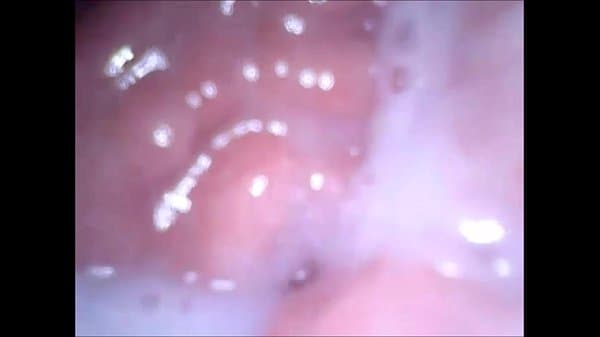 cam in mouth vagina and ass