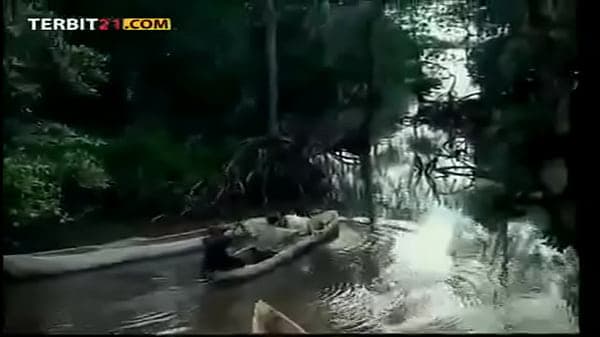 Tarzan X